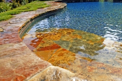 poolpic10