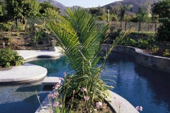 poolpic24
