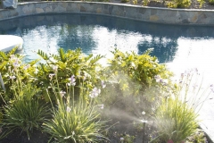 poolpic57